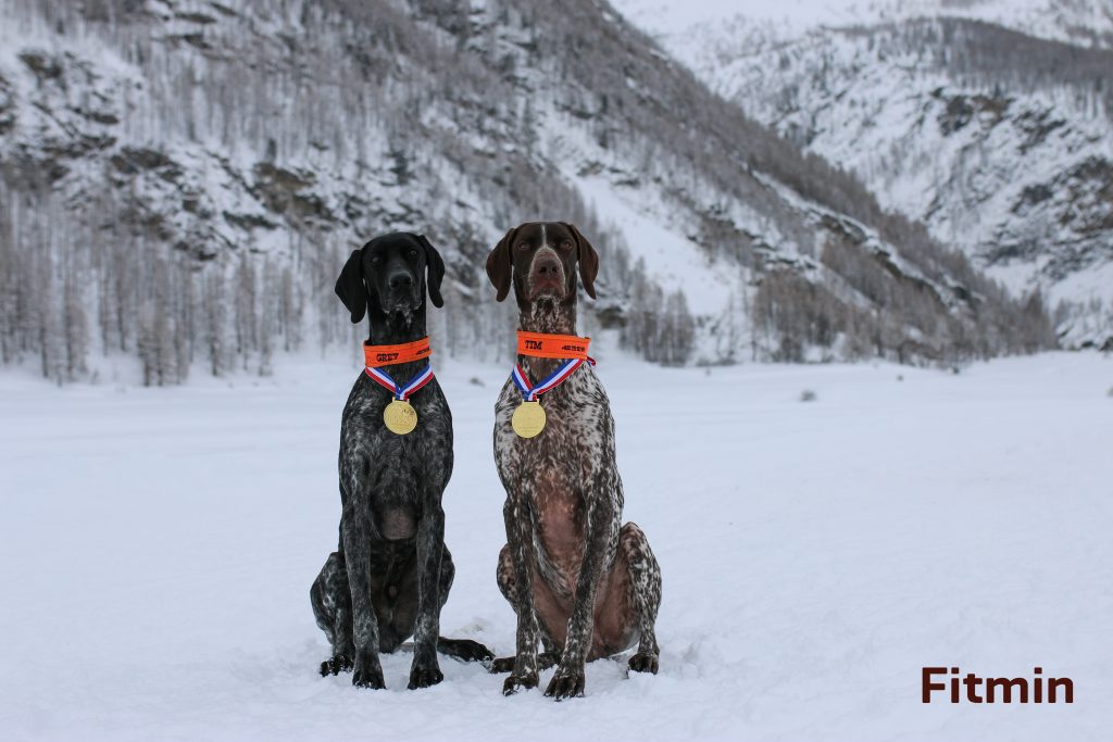 couple of dogs winners in the IFSS World Championship Snowland 2019